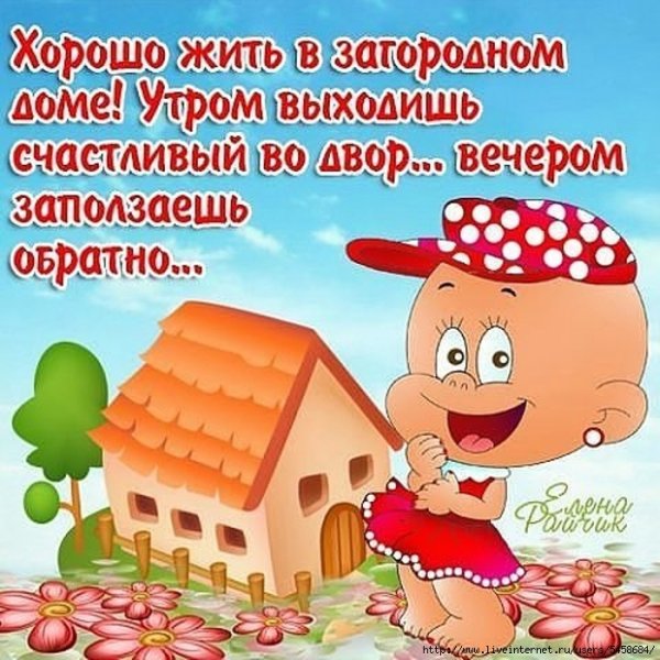 Открытки про дачу прикольные