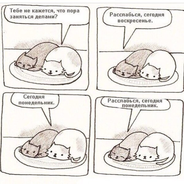 Расслабься сегодня понедельник