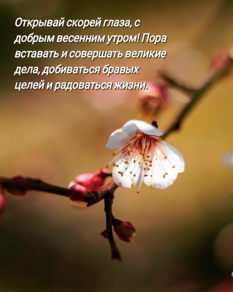 Утро Весна