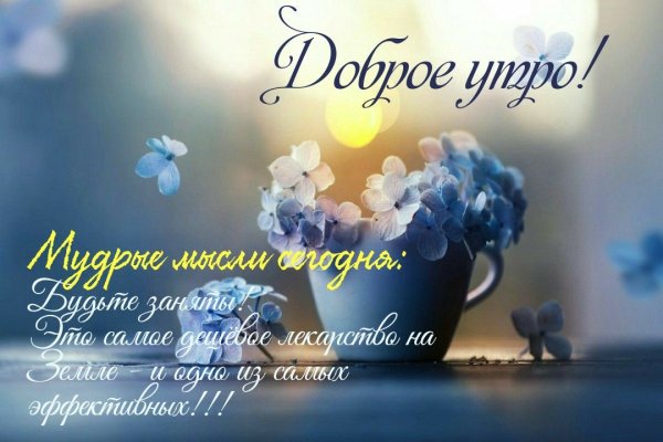 Высказывания с добрым утром