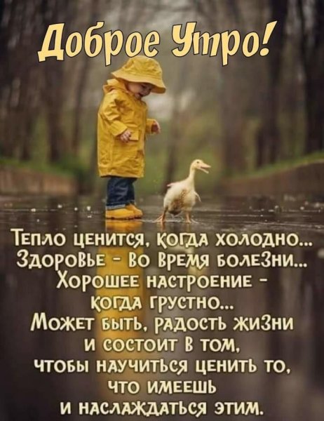 Умные фразы с добрым утром