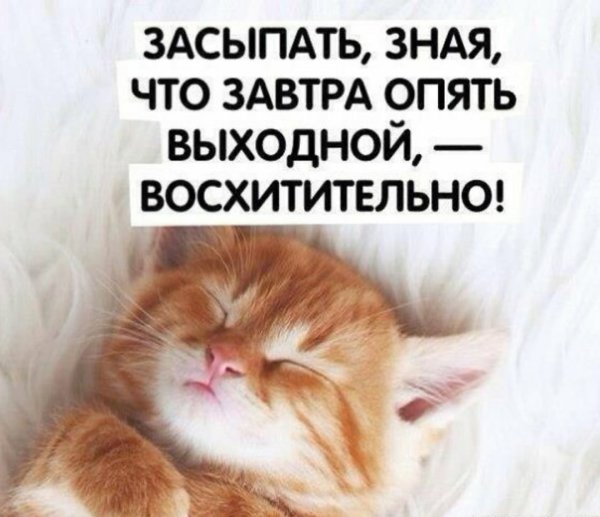 Завтра выходной