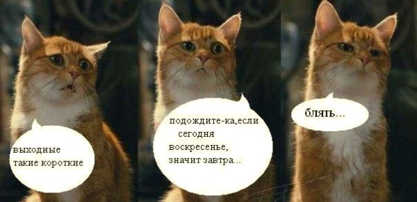 Воскресенье завтра понедельник