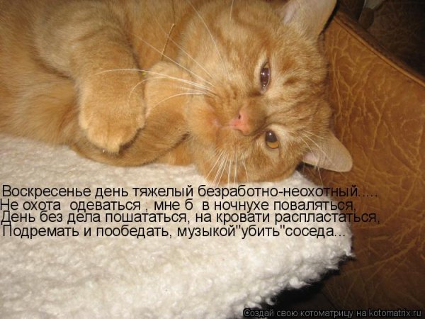Воскресенье завтра понедельник