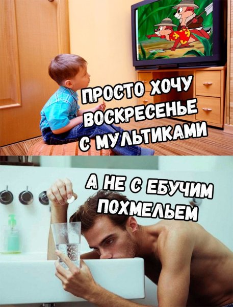 Приколы про воскресенье с похмелья