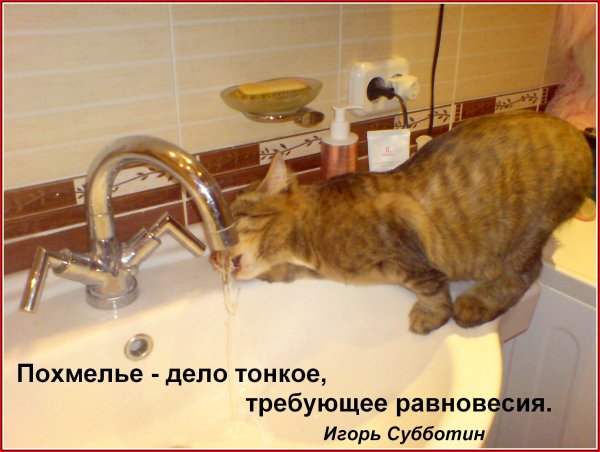 Открытки после пьянки