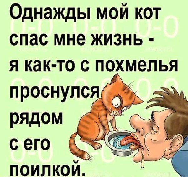 Доброе утро после похмелья