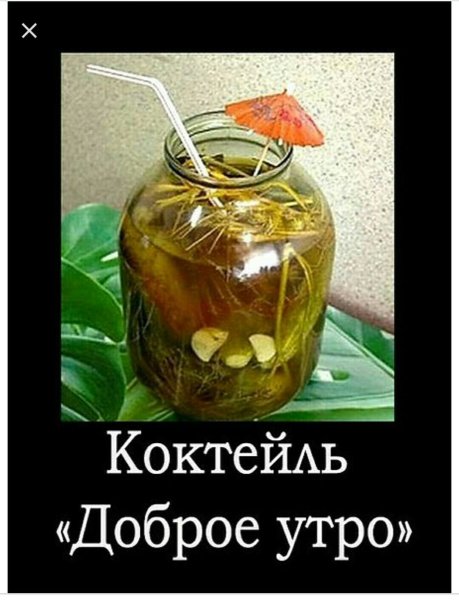 Шутки про похмелье