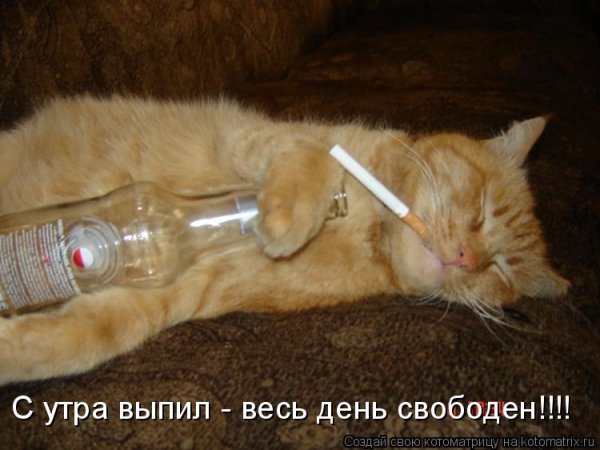 Уснул за столом
