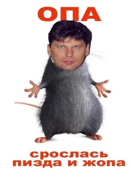 Опа срослась