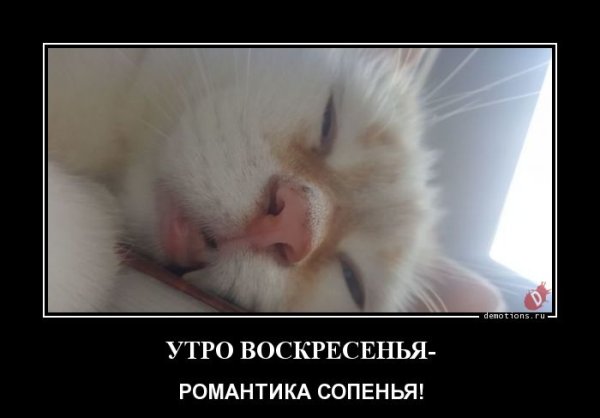 Воскресенье демотиватор