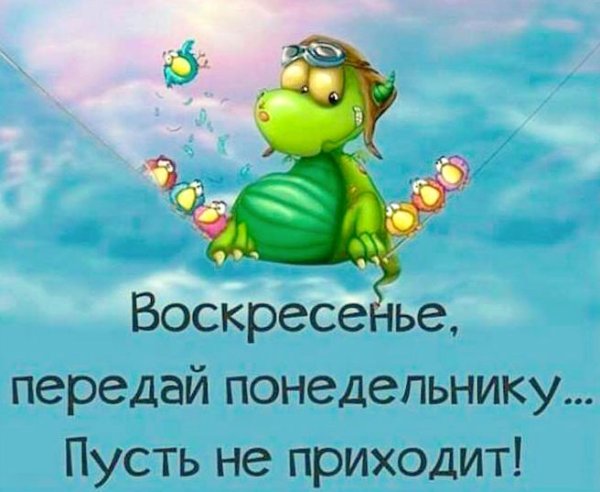 Прикольные поздравления с воскресеньем