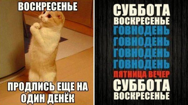 Шутки про воскресенье