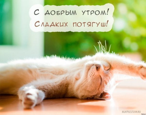 Утренние потягушки