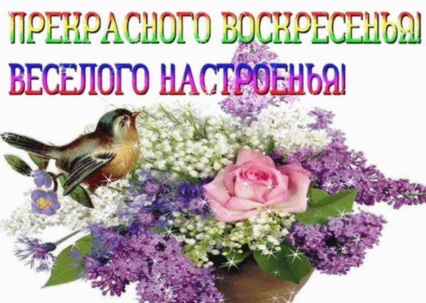 Открытка чудесного воскресенья