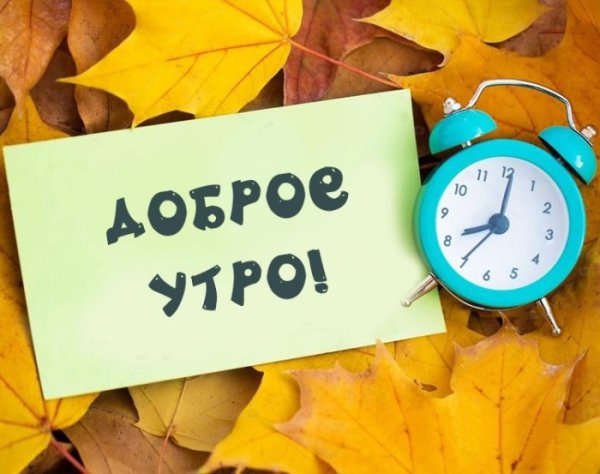 Доброе утро воскресенье прикольные