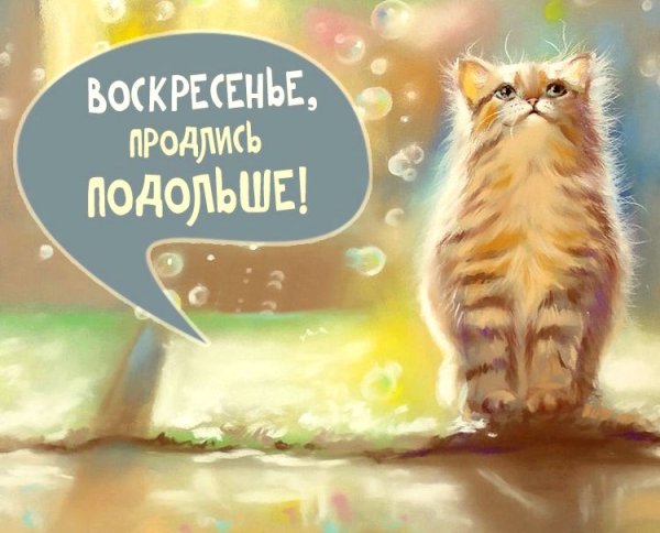 Доброемвоскресное утро