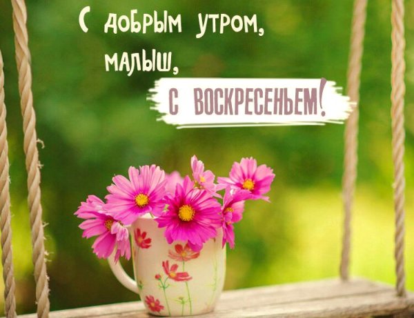 Доброе Воскресное у РО