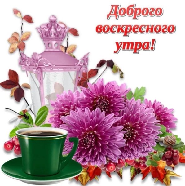 С добрым воскресным утром