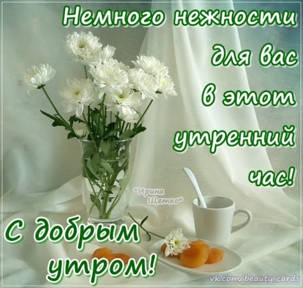 Красивое поздравление с утром