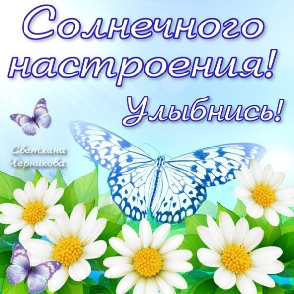 Открытка хорошего воскресенья и отличного настроения