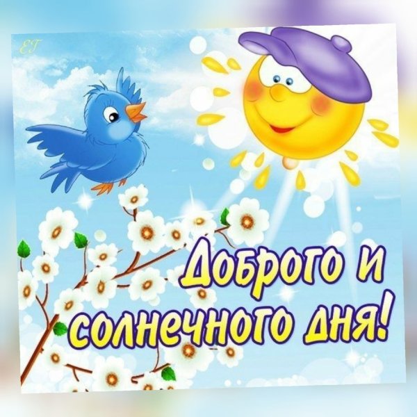 Доброго солнечного дня