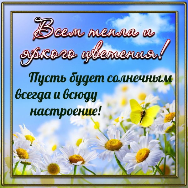С летом поздравления