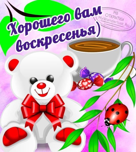 Открытки с добрым утром воскресенья