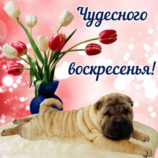 Открытки хорошего воскресенья