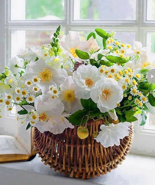 Нежное утро