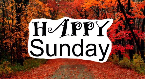 Happy Sunday осень