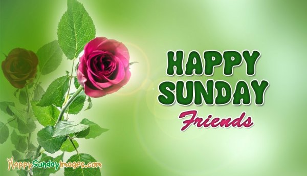 Happy Sunday картинки