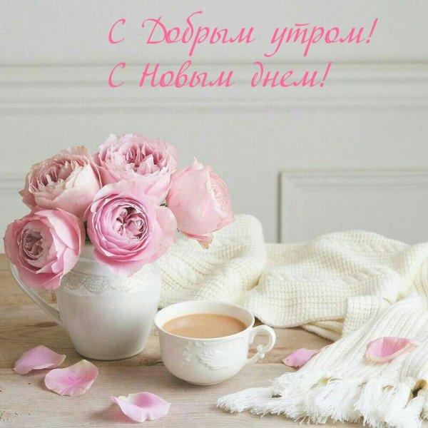 Доброе утро пионы