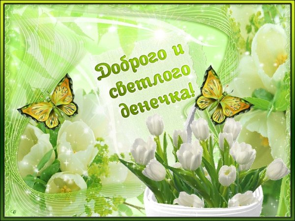 Открытки чудесного дня