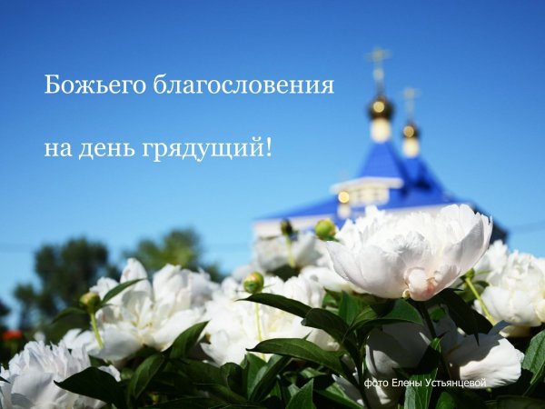 Нежные весенние натюрморты