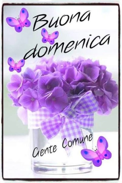 Хорошего дня на итальянском языке