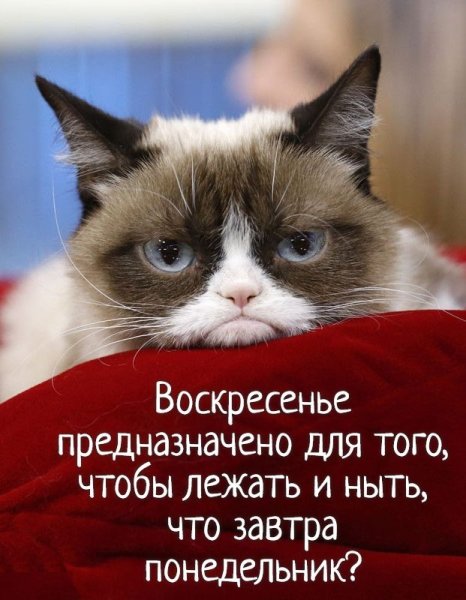 Завтра воскресенье картинки