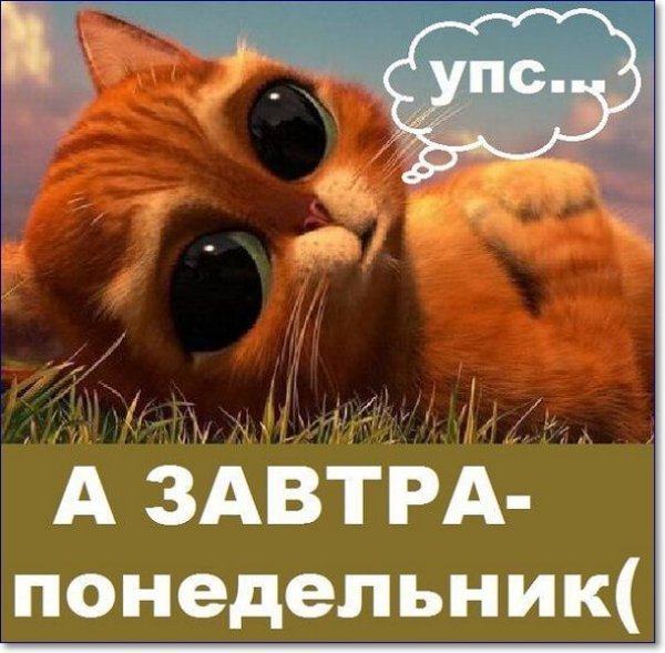 Воскресенье приколы