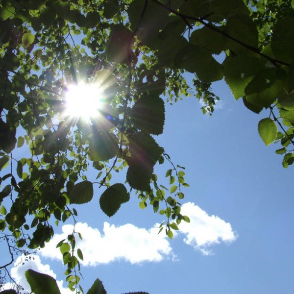 С воскресным днем православные