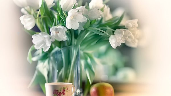 Доброго весеннего субботнего утра и хорошего дня