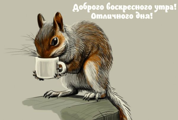 С добрым воскресным утром