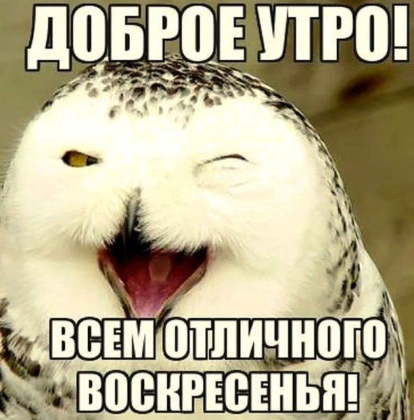 Доброе утро воскресенье прикольные
