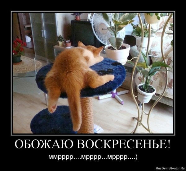 Открытки с добрым утром прикольные