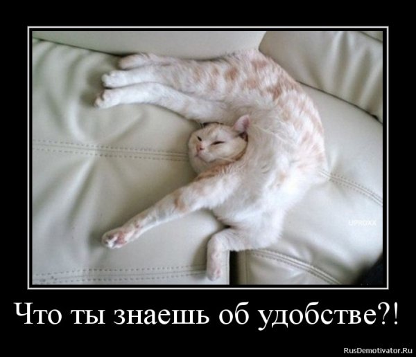 Скорее бы выходные