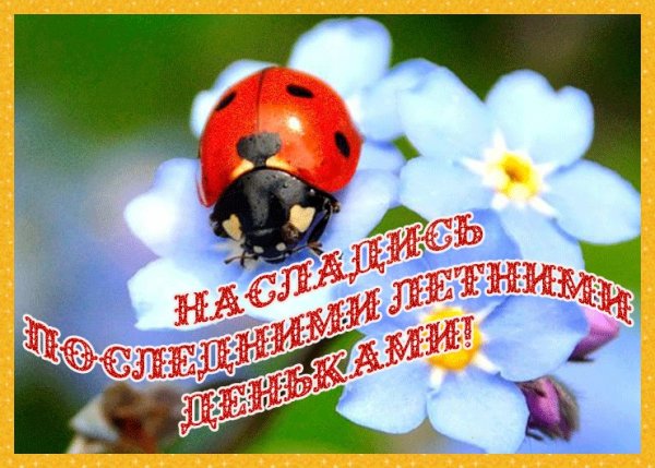 Последний день лета