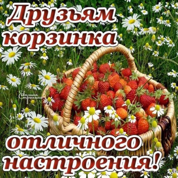 Открытки отличного настроения