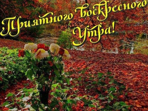 Доброе Воскресное осеннее утро
