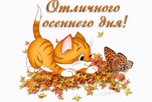 Хорошего осеннего дня и отличного настроения