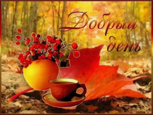 Доброго осеннего дня