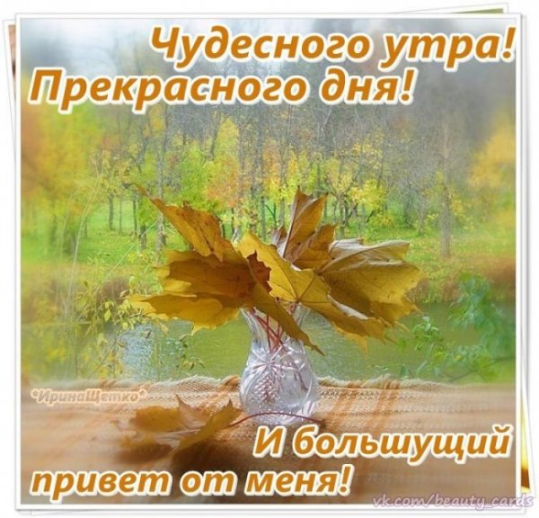 Хорошего осеннего дня и отличного настроения
